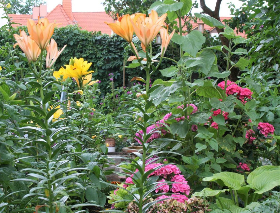 Herrenhof Worms Exteriér fotografie